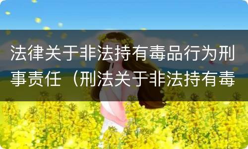 法律关于非法持有毒品行为刑事责任（刑法关于非法持有毒品罪的规定）