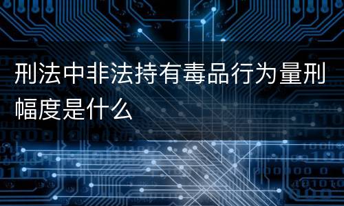 刑法中非法持有毒品行为量刑幅度是什么