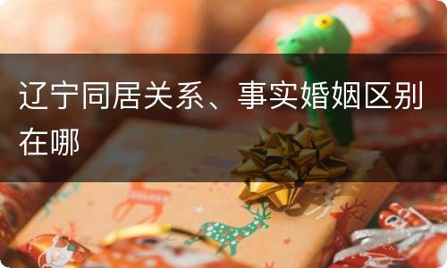 辽宁同居关系、事实婚姻区别在哪
