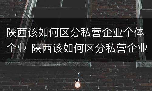 陕西该如何区分私营企业个体企业 陕西该如何区分私营企业个体企业和企业