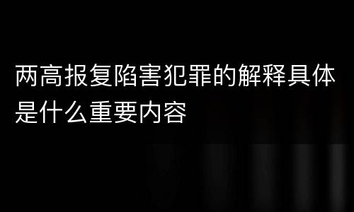 两高报复陷害犯罪的解释具体是什么重要内容