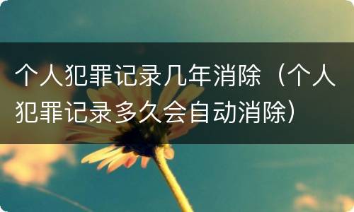个人犯罪记录几年消除（个人犯罪记录多久会自动消除）