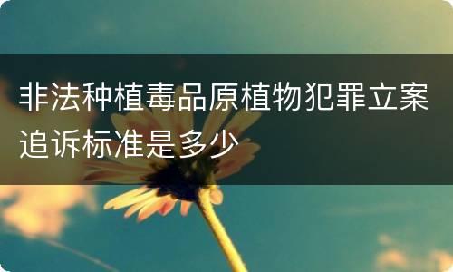 非法种植毒品原植物犯罪立案追诉标准是多少