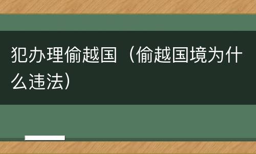 犯办理偷越国（偷越国境为什么违法）
