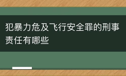 犯暴力危及飞行安全罪的刑事责任有哪些