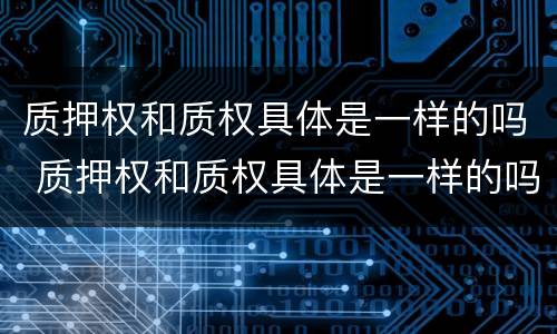 质押权和质权具体是一样的吗 质押权和质权具体是一样的吗对吗