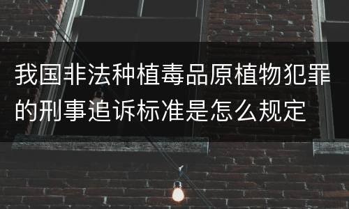 我国非法种植毒品原植物犯罪的刑事追诉标准是怎么规定