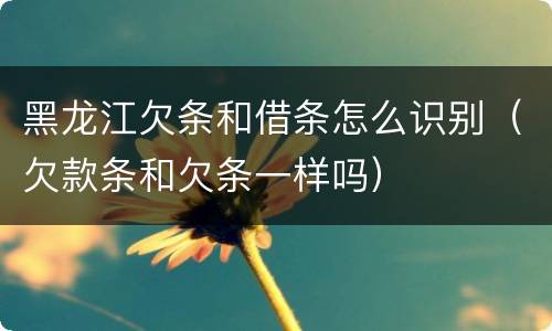 黑龙江欠条和借条怎么识别（欠款条和欠条一样吗）