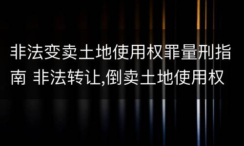 非法变卖土地使用权罪量刑指南 非法转让,倒卖土地使用权罪定罪标准