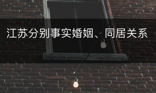 江苏分别事实婚姻、同居关系