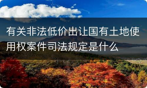 有关非法低价出让国有土地使用权案件司法规定是什么
