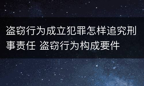 盗窃行为成立犯罪怎样追究刑事责任 盗窃行为构成要件