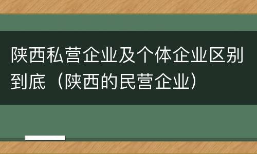 陕西私营企业及个体企业区别到底（陕西的民营企业）
