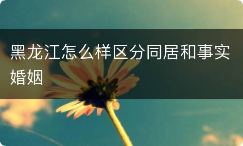 黑龙江怎么样区分同居和事实婚姻