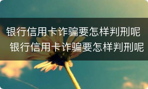银行信用卡诈骗要怎样判刑呢 银行信用卡诈骗要怎样判刑呢知乎