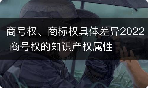 商号权、商标权具体差异2022 商号权的知识产权属性