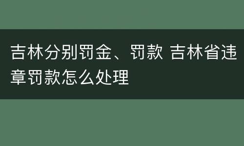 吉林分别罚金、罚款 吉林省违章罚款怎么处理