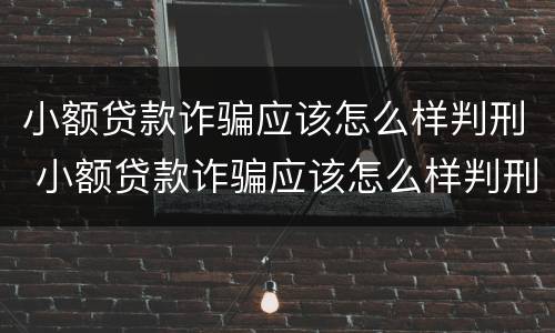 小额贷款诈骗应该怎么样判刑 小额贷款诈骗应该怎么样判刑案例