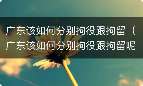 广东该如何分别拘役跟拘留（广东该如何分别拘役跟拘留呢）