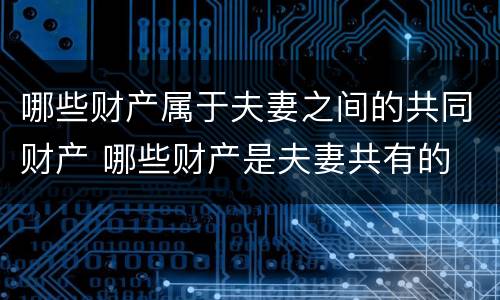 哪些财产属于夫妻之间的共同财产 哪些财产是夫妻共有的