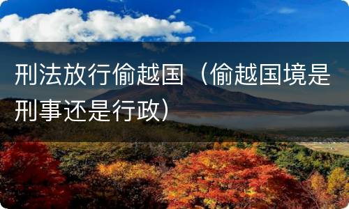 刑法放行偷越国（偷越国境是刑事还是行政）