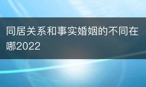 同居关系和事实婚姻的不同在哪2022
