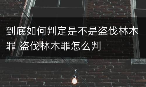 到底如何判定是不是盗伐林木罪 盗伐林木罪怎么判