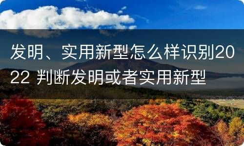 发明、实用新型怎么样识别2022 判断发明或者实用新型