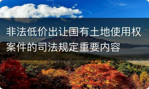 非法低价出让国有土地使用权案件的司法规定重要内容