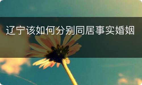 辽宁该如何分别同居事实婚姻