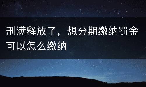 刑满释放了，想分期缴纳罚金可以怎么缴纳