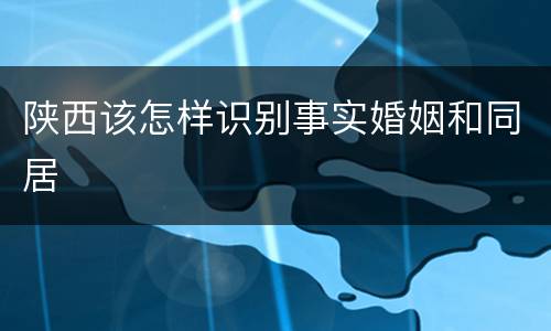 陕西该怎样识别事实婚姻和同居