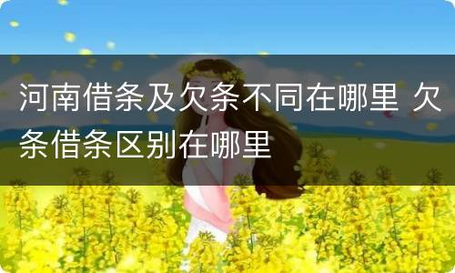 河南借条及欠条不同在哪里 欠条借条区别在哪里