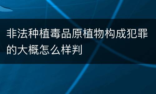 非法种植毒品原植物构成犯罪的大概怎么样判