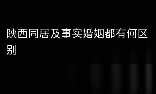 陕西同居及事实婚姻都有何区别