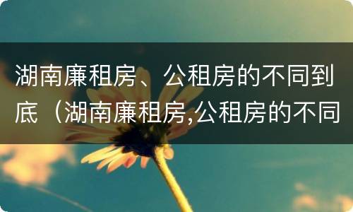 湖南廉租房、公租房的不同到底（湖南廉租房,公租房的不同到底区别）