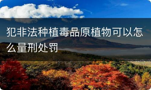 犯非法种植毒品原植物可以怎么量刑处罚