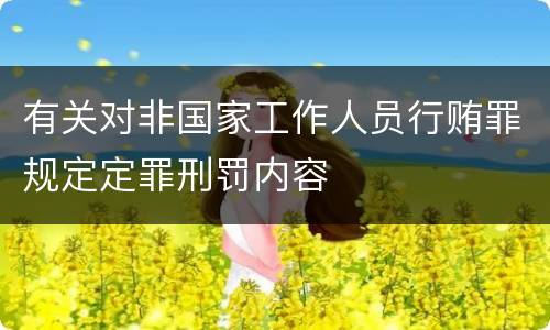 有关对非国家工作人员行贿罪规定定罪刑罚内容