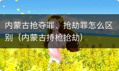 内蒙古抢夺罪、抢劫罪怎么区别（内蒙古持枪抢劫）