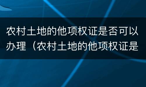 农村土地的他项权证是否可以办理（农村土地的他项权证是否可以办理贷款）