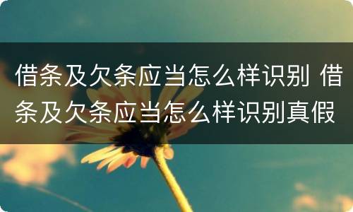 借条及欠条应当怎么样识别 借条及欠条应当怎么样识别真假