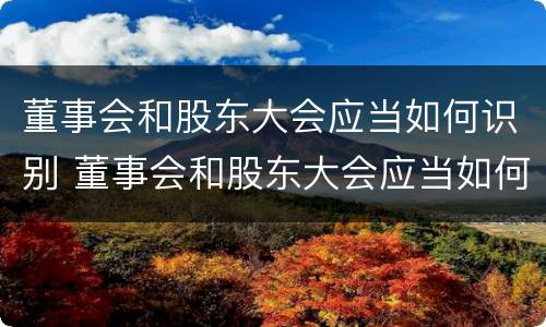 董事会和股东大会应当如何识别 董事会和股东大会应当如何识别呢