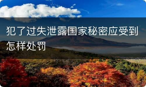 犯了过失泄露国家秘密应受到怎样处罚