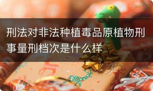 刑法对非法种植毒品原植物刑事量刑档次是什么样
