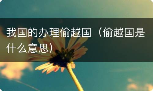 我国的办理偷越国（偷越国是什么意思）