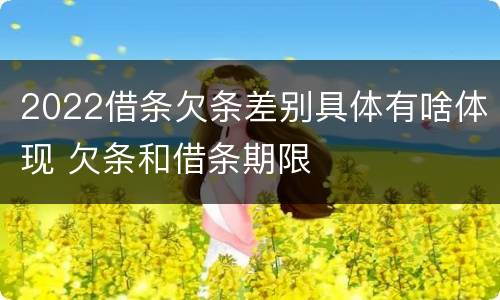 2022借条欠条差别具体有啥体现 欠条和借条期限