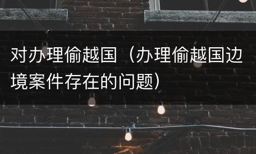 对办理偷越国（办理偷越国边境案件存在的问题）