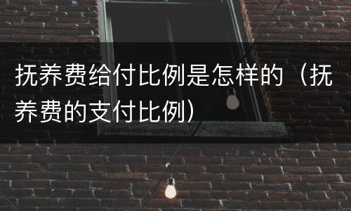 抚养费给付比例是怎样的（抚养费的支付比例）