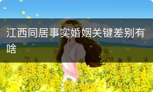 江西同居事实婚姻关键差别有啥