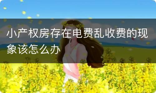 小产权房存在电费乱收费的现象该怎么办